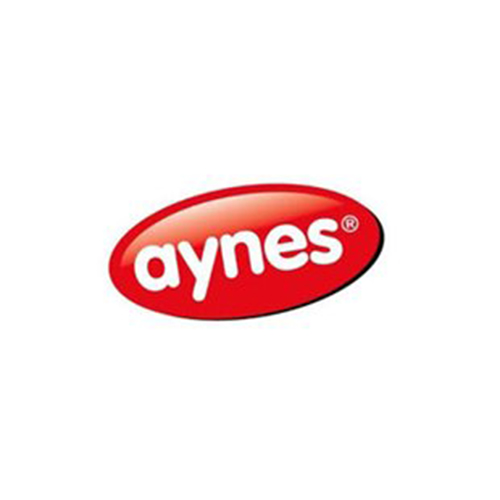 Aynes Gıda